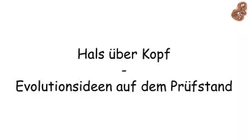 Vorschau - Stundenentwürfe - Evolutionstheorien Darwin und Lamarck im Vergleich | Komplette Unterrichtsstunde mit Placemat (Biologie 9/10) - Seite 2