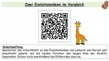 Vorschau - Stundenentwürfe - Evolutionstheorien Darwin und Lamarck im Vergleich | Komplette Unterrichtsstunde mit Placemat (Biologie 9/10) - Seite 3