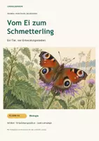 Vorschau - Arbeitsblätter - Vom Ei zum Schmetterling – Metamorphose Klasse 5–6 - Deckblatt
