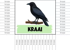 Voorbeeld - Woordenjacht aai - ooi - oei - Pagina 2