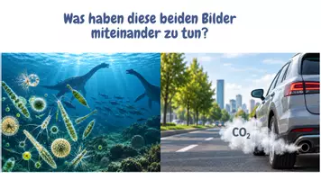 Vorschau - Arbeitsblätter - kleiner und großer Kohlenstoffkreislauf – Lernspiel mit Schokolinsen - Seite 1
