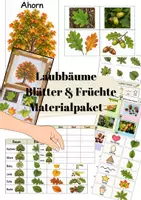 Vorschau - Arbeitsblätter - Laubbäume -Blätter und Früchte - Deckblatt