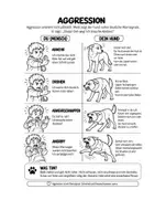 Vorschau - Arbeitsblätter - Kostenloses Material: Hundesprache verstehen - Seite 3