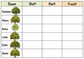 Vorschau - Bildkarten - Bäume und Früchte - Zuordnen - Seite 2