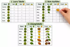 Vorschau - Bildkarten - Bäume und Früchte - Zuordnen - Deckblatt
