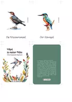 Vorschau - Spiele - Vögel–Nomenklaturkarten | 30 heimische Vogelarten - Seite 1