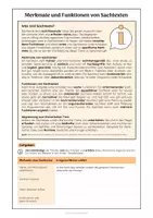 Vorschau - Arbeitsblätter - Materialpaket Sachtexte zum Thema Hitzesommer 2026 - Seite 2