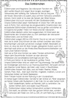 Vorschau - Arbeitsblätter - Eichhörnchen – Sachtext & Leseverstehen | Klasse 3–4 | Sachunterricht - Seite 3