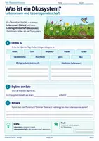 Vorschau - Stundenentwürfe - Biologie Komplettpaket Klasse 5/6 – Mensch, Pflanzen & Ökosysteme | 10 Unterrichtsmodule - Seite 1