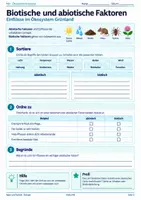 Vorschau - Stundenentwürfe - Biologie Komplettpaket Klasse 5/6 – Mensch, Pflanzen & Ökosysteme | 10 Unterrichtsmodule - Seite 3