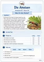 Vorschau - Unterrichtsreihen - Die Ameisen – Leben im Ameisenstaat und Bedeutung für die Natur - Seite 1