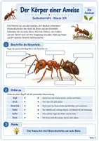 Vorschau - Unterrichtsreihen - Die Ameisen – Leben im Ameisenstaat und Bedeutung für die Natur - Seite 2