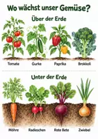 Vorschau - Arbeitsblätter - Gemüseprojekt Kita – 60 Seiten Ernährungsprojekt - Seite 2