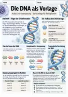 Vorschau - Unterrichtsreihen - DNA Replikation Legemodell - Seite 1