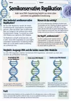 Vorschau - Unterrichtsreihen - DNA Replikation Legemodell - Seite 3
