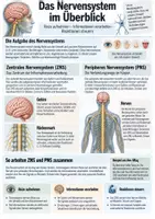 Vorschau - Unterrichtsreihen - Neurobiologie - Seite 1