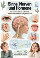 Vorschau - Unterrichtsreihen - Sinne Nerven Hormone - Deckblatt