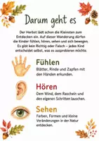 Vorschau - Arbeitsblätter - Herbst mit allen Sinnen entdecken U3 - Seite 1