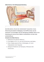 Vorschau - Unterrichtsreihen - Ohrenkrankheiten Otitis Media Otitis Externa - Seite 2
