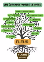 Aperçu - Feuilles d'exercices - Affiche et Fiche : Les arbres des familles de mots - Page 1