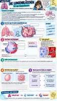 Vorschau - Unterrichtsreihen - 🫁 Unterrichtsreihe Lunge | Atmung & Gasaustausch 🌬️ Arbeitsblätter + Lösungen + Einstieg + Ausstieg + Unterrichtsplanung | Klasse 7/8| Biologie(Bio) - Seite 2