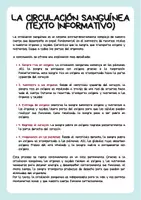 Vista previa - Unidades / Secuencias / Situaciones de Aprendizaje - El sistema cardiovascular - el corazón, las arterias y las venas - página 3