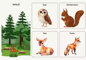Vorschau - Spiele - Tiere Lebensräume Sortierspiel | Montessori Lernspiel - Seite 1
