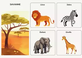 Vorschau - Spiele - Tiere Lebensräume Sortierspiel | Montessori Lernspiel - Seite 3