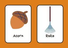 Vorschau - Bildkarten - Autumn Flashcards - Seite 2