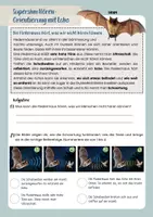 Vorschau - Arbeitsblätter - Lerntheke: Supersinne von Tieren - NW Klasse 5/6 - Seite 2