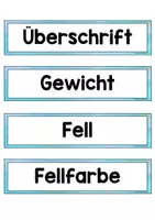 Vorschau - Arbeitsblätter - Haustier Suchanzeige - Tierbeschreibung - Seite 3