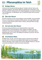 Vorschau - Arbeitsblätter - Sachtexte zum Leseverständnis Klasse 4 – Der Teich: 6 Texte und Aufgaben - Seite 2