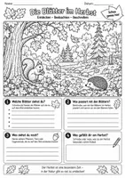 Vorschau - Mal- und Bastelvorlagen - Herbst-Ausmalbilder für Klasse 3 & 4 | Wald, Tiere & Natur - Seite 2