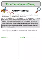 Vorschau - Arbeitsblätter - Wirbeltiere oder Wirbellose? – Forscherauftrag zum Einstieg - Deckblatt