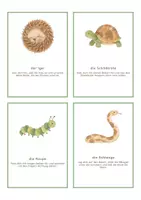 Vorschau - Bildkarten - Yogakarten Kinder: 30 Bewegungskarten mit Tiernamen, Klasse 1 und 2 - Seite 3