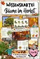 Vorschau - Arbeitsblätter - Bäume im Herbst | Wissenskartei & Arbeitsheft | Bundle - Seite 1