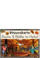 Vorschau - Arbeitsblätter - Bäume im Herbst | Wissenskartei & Arbeitsheft | Bundle - Seite 2