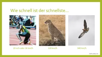 Vorschau - Stundenentwürfe - Experiment: Die eigene Geschwindigkeit messen - Deckblatt