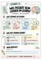 Vorschau - Stundenentwürfe - Lernen lernen: Was passiert beim Lernen im Gehirn? (3. Stunde) für die Klassen 5 und 6 I Unterrichtsmaterial (allg.) - Seite 3
