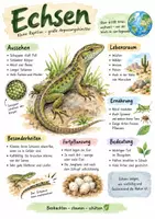 Vorschau - Arbeitsblätter - Lernplakat + Arbeitsblätter zum Thema "Echsen" (Lückentext, Hörverstehen) + Lösung & MP3 + Infografik - Deckblatt