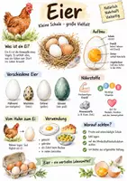 Vorschau - Arbeitsblätter - Lernplakat + Arbeitsblätter zum Thema "Ei" + Lösung & MP3 + Infografik - Deckblatt