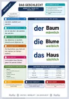 Vorschau - Arbeitsblätter - Das Geschlecht | Merkblatt, Arbeitsblatt und Lösung | Deutsch Klasse 5/6 - Deckblatt