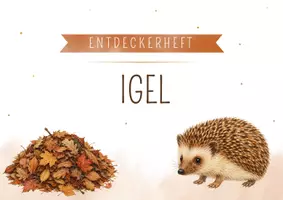 Vorschau - Mal- und Bastelvorlagen - Projektmappe Igel | Arbeitsblätter, Bastelvorlagen Herbst - Seite 1