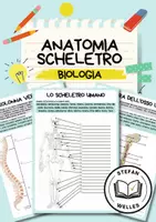 anteprima - Esercizi - Anatomia - Scheletro umano - Colonna vertebrale - Ossa lunghe - Pagina di copertina