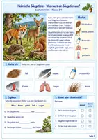 Vorschau - Unterrichtsreihen - Heimische Säugetiere – Fuchs, Reh, Igel & Co. - Seite 1