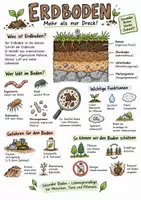 Vorschau - Arbeitsblätter - Lernplakat + Arbeitsblätter zum Thema "Erdboden" + Lösung & MP3 + - Deckblatt