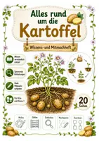 Vorschau - Arbeitsblätter - Alles rund um die Kartoffel – Wissens- und Mitmachheft Kita, Vorschule & 1. Klasse - Deckblatt