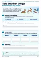 Vorschau - Unterrichtsreihen - Tiere im Winter – Winterschlaf, Winterruhe, Winterstarre, Energie & Anpassungen | Biologie 5/6 - Seite 1