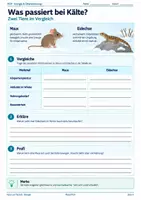 Vorschau - Unterrichtsreihen - Tiere im Winter – Winterschlaf, Winterruhe, Winterstarre, Energie & Anpassungen | Biologie 5/6 - Seite 3