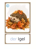 Vorschau - Fördermaterial/Inklusion - DaZ - der Herbst - Bild- und Wortkarten - Seite 3